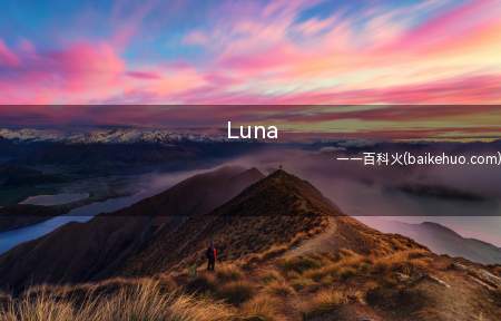 Luna是什么梗（一个奇妙的名称,大约是和rapper大牌明星谈恋爱的必备条件）