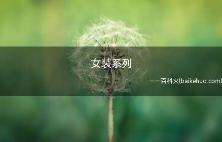 女装系列是什么意思（日本成年人游戏开发商脑内彼女）