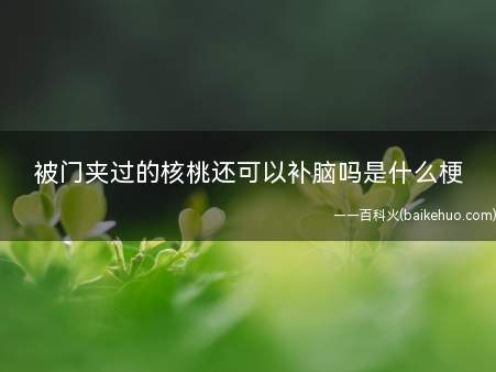 被门夹过的核桃还可以补脑吗是什么梗（脑壳被门夹了可以用核桃补脑吗?）