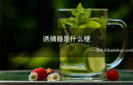 诱捕器是什么意思(原本诱捕器指的便是用于诱惑和杀掉虫类的器材)