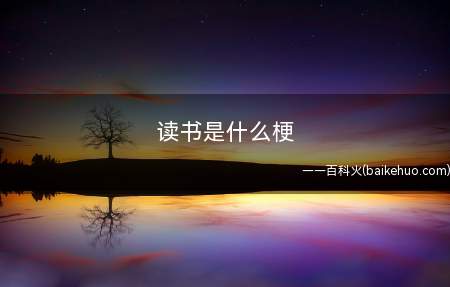 读书是什么意思(一种获得专业知识,修身养性的个人行为)