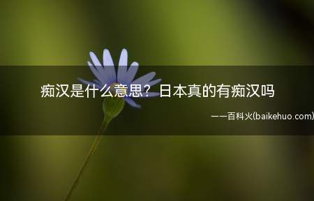 痴汉是什么意思？日本真的有痴汉吗