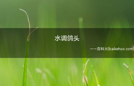 水调鸽头是什么意思（小白鸽们看了后掉头来到不举铁(白敬亭大号)的微博）