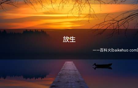 放生是什么梗(奶爸实际操作技术性不足,紧急状况下没法支援队友)