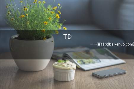 TD是什么意思（可译成为坦克歼击车或是自行式反坦克炮）