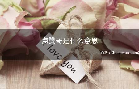 点赞哥是什么梗(班尼特的原素暴发(或称Q专业技能、大招))