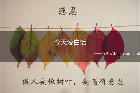 今天没白活是什么梗(常见来表明自身在短视频服务平台看到了奇怪搞笑幽默的人物或事物)