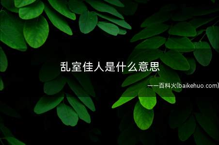 乱室佳人是什么梗(指家中很乱,不爱整理的帅哥/美少女)