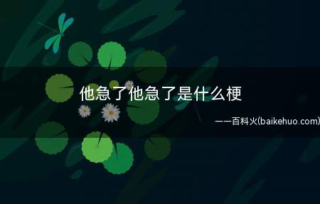他急了他急了是什么梗(字面含意,常见于在发表评论和人互骂时讽刺另一方恼羞成怒的模样)