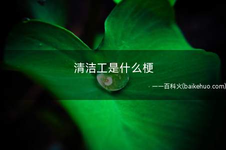 清洁工是什么梗(音类似“清理”故以清洁工替代)