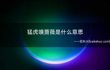 猛虎嗅蔷薇是什么梗(是“心有猛虎,细嗅蔷薇”组合,这也是诗人)