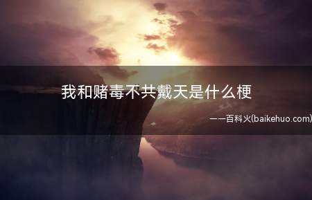 我和赌毒不共戴天是什么梗(一切正常应该是“我与黄赌血海深仇”,这儿少了个“黄”,lsp)