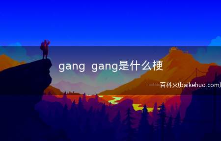 gang gang是什么梗(歹徒这类的rapper表明自身很社会的意思)