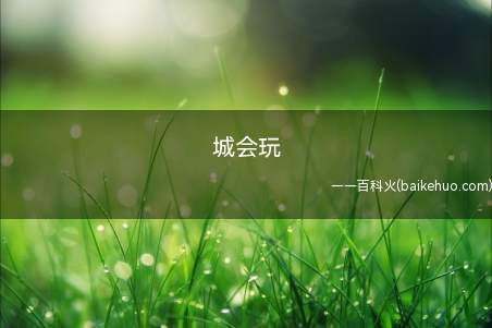 城会玩是什么梗（“你们城里人真会玩”）