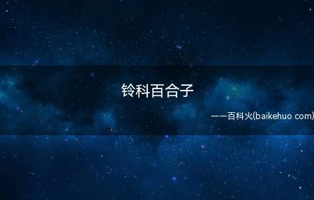 铃科百合子是什么意思(“铃科百合子”吐槽人物一方通行)