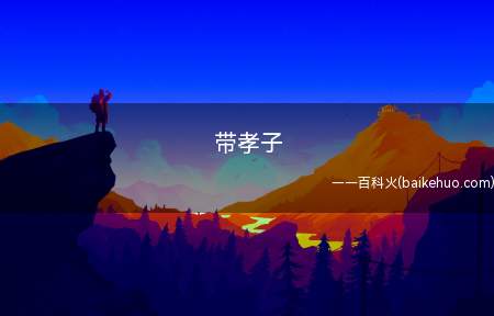 带孝子是什么梗(b站特火的一个谐音梗从字面意思)