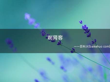 削肾客是什么梗(一种取人肾脏的职业)
