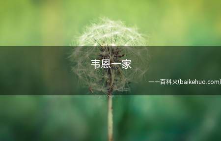 韦恩一家是什么意思(什么进巷子随时六条腿,出巷子时是两腿,答:韦恩一家)