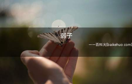 弱子是什么意思(弱子来自兄贵秘密篇中的一句经典台词)