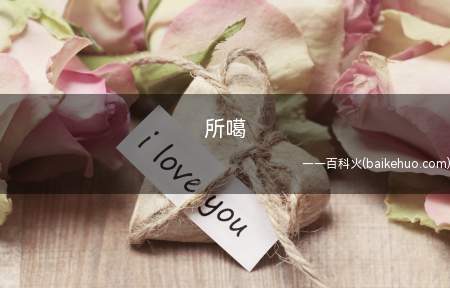 所噶是什么意思(日语的谐音,表明;原来如此)