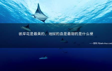 彼岸花是最美的,地狱的血是最甜的是什么意思(彼岸花代表着无尽的爱、身亡的征兆和地狱的招唤,而地狱又代表着)