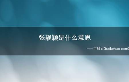张靓颖是什么意思(王思聪在维密走秀大会上说身影酷似蕾哈娜(Rihanna)的中)