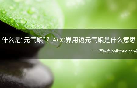 什么是“元气娘”?ACG界用语元气娘是什么意思