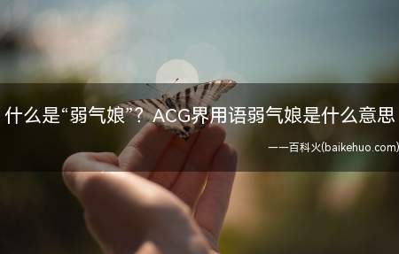 什么是“弱气娘”?ACG界用语弱气娘是什么意思