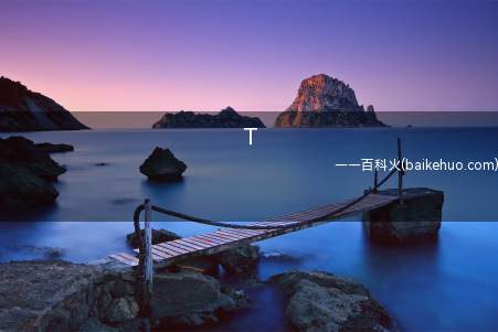 T是什么意思(“她是个技术很好的T”)