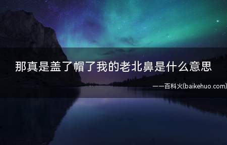 那真是盖了帽了我的老北鼻是什么意思(那真的是好极了我的老商品!)
