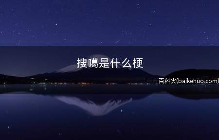 搜噶是什么意思(日语中“原来如此()”的中文谐音)