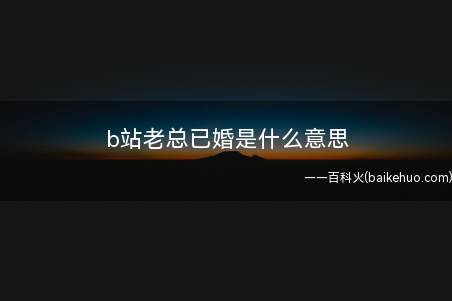 b站老总已婚是什么梗(中国知名弹幕网站B站的老总陈睿)