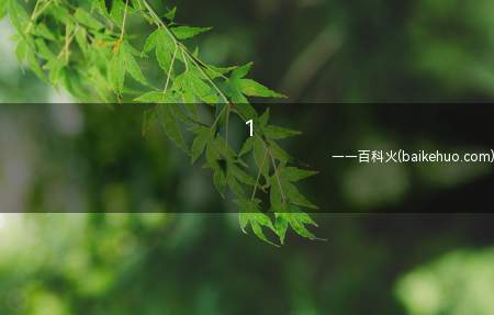 1是什么意思（“没问题吧“准备好了吗”）