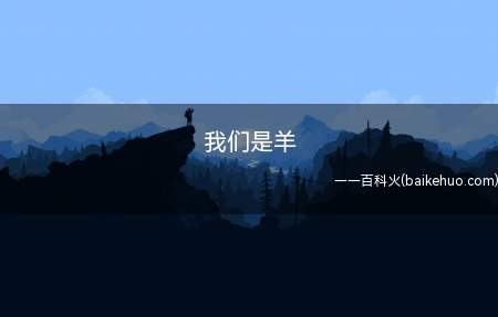 我们是羊是什么梗(对歌曲《We Are Young》的灵魂翻译:we are )