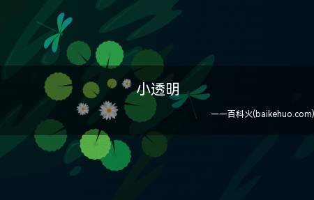 小透明是什么梗(如空气般透明,没什么存在感的人)