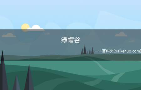 绿帽谷是什么意思(阿比盖尔和其cp塞巴斯蒂安秀发颜色都与在星露谷外法师颜色同样)