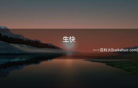 生快是什么梗(生日快乐的简写,伴随着互联网上简称风的兴起被缩写成)