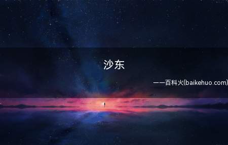 沙东是什么意思(微博带大师兄评论区南征北战环节中用于代指河南)