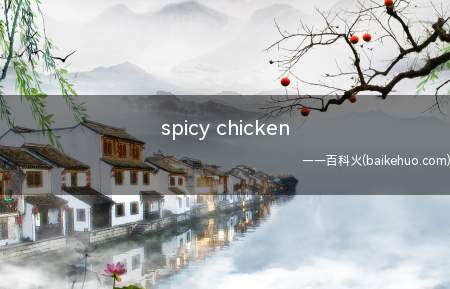 spicy chicken是什么梗(中式英语:spicy(辣)chicken(鸡),即骂人:垃圾)