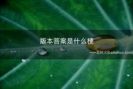 版本答案是什么意思(这一梗原本出此游戏社区,一般手机游戏隔一段时间就会升级换版本)
