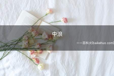 中浪是什么意思(通常指80后到90初的人)