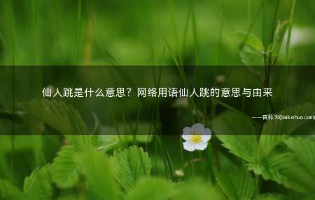 仙人跳是什么意思?网络用语仙人跳的意思与由来
