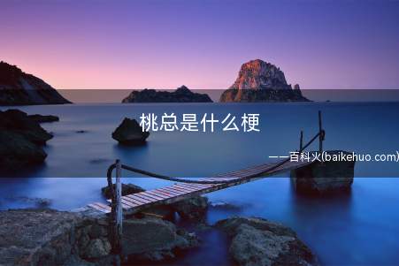 桃总是什么意思（克里斯埃文斯如同一颗奇异果）
