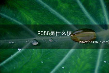 9088是什么意思（即相声小品社团活动德云社成员张九龄）