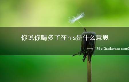 你说你喝多了在hls是什么梗(去夜店放松仅仅一种生活方法,不必过度解读)
