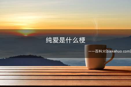 纯爱是什么意思(纯爱,特指两人的单纯性、不含有一切杂质的恋爱)