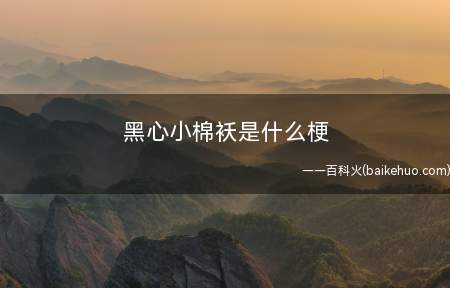 黑心小棉袄是什么意思(用黑心棉做的,穿上并不是贴心,是戳心)