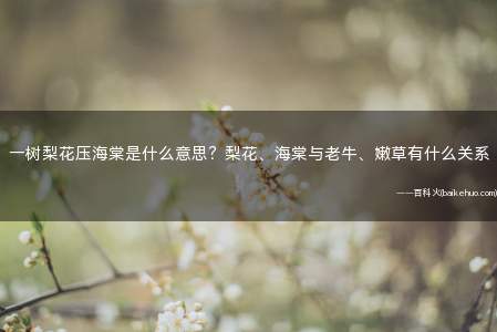 一树梨花压海棠是什么意思?梨花、海棠与老牛、嫩草有什么关系