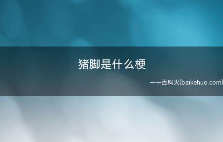 猪脚是什么梗(指动漫里的主角,谐音猪脚)