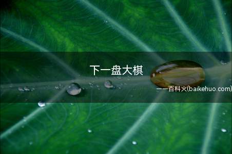 下一盘大棋是什么意思(厉个人行为身后动机推测)